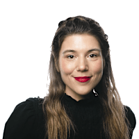 Flera gripna efter Louvrenkuppen