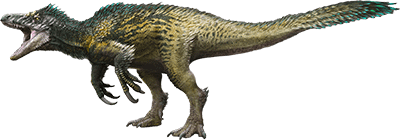 Hade ni stöttat idén?