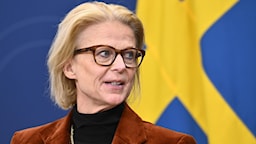 Svantesson vill utreda införande av euron