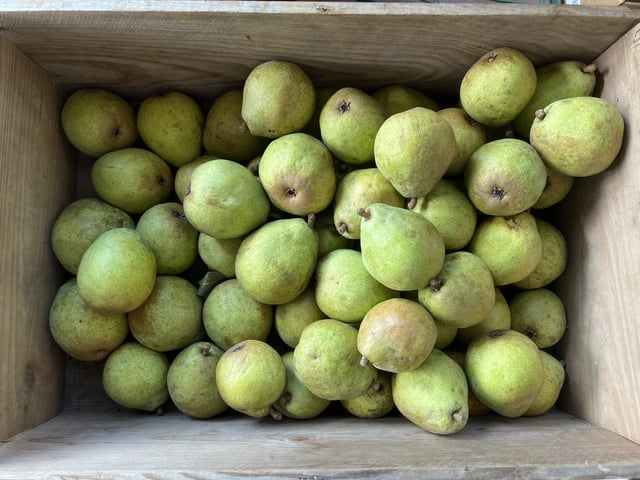 Mat som inte behöver förvaras kallt?